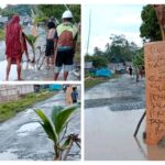 Aksi Protes Jalan Rusak, Warga Tanami  Pohon Pisang dan Kelapa