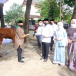Polda Sulsel Bagikan 673 Sapi dan 22 Kambing Kurban