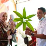 Ketua DPRD Sulsel Sosialisasi Penyebarluasan Peraturan Daerah di Barru