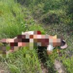 Tubuh Korban Bentrokan Penuh Luka, Mayatnya Masih di Otopsi Tim DVI Polda Sulbar