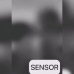 Viral Video Syur Sepasang Kekasih di Kendari Main Kuda-kudaan