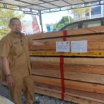 Polhut Sulbar Sita 143 Batang Kayu Ilegal