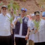 Siapkan Lahan 150 Ha, Pj Gubernur Sulsel Bersama Bupati Barru Panen Nanas di Desa Jangan-Jangan