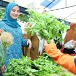 PLT Ketua TP PKK Launching Pangan Murah di Balusu