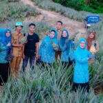 Pj Ketua TP PKK Provinsi Sulsel Panen Nanas di Barru