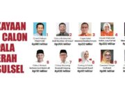 Trisal Tahir Calon Kepala Daerah Terkaya di Sulsel