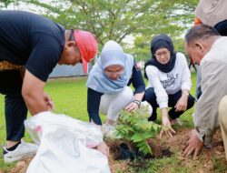 Tanam Pohon Aju Berru di Taman Colliq Fujie