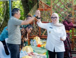Ketua DPRD Barru Apresiasi Pelestarian Tradisi Pesta Panen Mejjenne-jenne