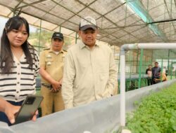 Bupati Uji Nurdin Tinjau Proses Kultur Jaringan, Bantaeng Siap Jadi Daerah Penghasil Benih Kentang