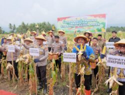 Bupati Bantaeng Dampingi Kapolda Sulsel Hadiri Panen Raya Jagung Serentak Kuartal I 2026