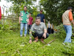 Kopi Pujananting Miliki Potensi Besar Untuk Dikembangkan