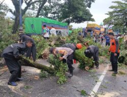 Pemkab Barru Bergerak Cepat Tangani Dampak Angin Kencang, 34 Rumah Warga Terdampak