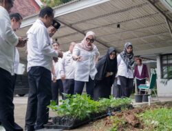 Pemkab Barru Luncurkan Gerakan Tanam Cabai Bagi ASN