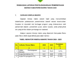 Ringkasan Laporan Penyelenggaraan Pemerintah Daerah Kabupaten Barru Tahun 2025