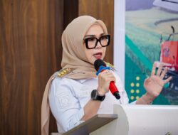 Soal Pemeriksaan di Kejati Sulsel, Ini Pernyataan Andi Ina