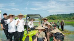 Barru Jadi Lokasi Percepatan Tanam Program Optimasi Lahan di Sulsel