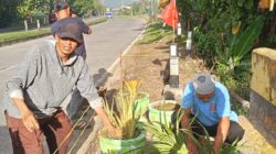 Dari Tempat Pembuangan Sampah Menjadi Taman Bunga, Wajah Baru Mangkoso Tuai Apresiasi