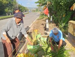 Dari Tempat Pembuangan Sampah Menjadi Taman Bunga, Wajah Baru Mangkoso Tuai Apresiasi