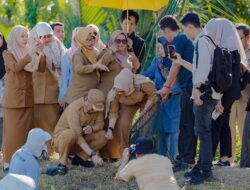 Tambak Palanro Hasilkan 4,3 Ton Udang Vaname, Bupati Dorong Pengembangan Budidaya Berkelanjutan