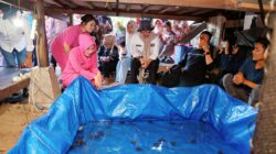 Kolaborasi Pemkab Barru, Polres, dan Komunitas Cillelang Fishing Selamatkan Generasi Penyu