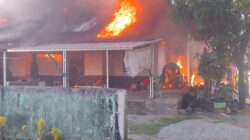 Si Jago Merah Mengamuk di Asrama Militer Rindam XIV/Hasanuddin Mawang, 6 Rumah Ludes Terbakar