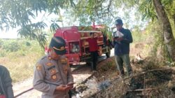 Api Melahap Rumput Kering di Siddo, Camat Soppeng Riaja Bersama TNI-Polri dan Warga Turun Tangan
